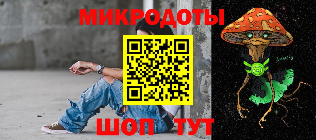 Псилоцибиновые грибы Psilocybe Зеленокумск
