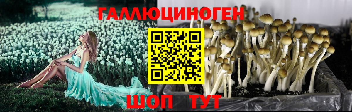 Галлюциногенные грибы Psilocybe  Вход с VPN  Зеленокумск  Псилоцибиновые грибы Magic Shrooms 